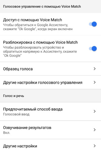 Customizing Google Assistant 