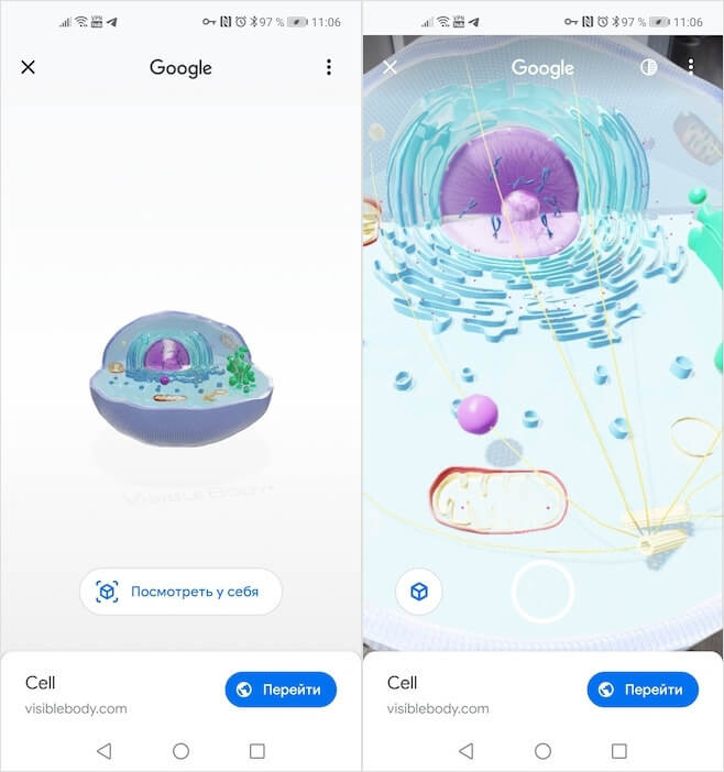 What else, besides animals, you can watch in 3D on Google