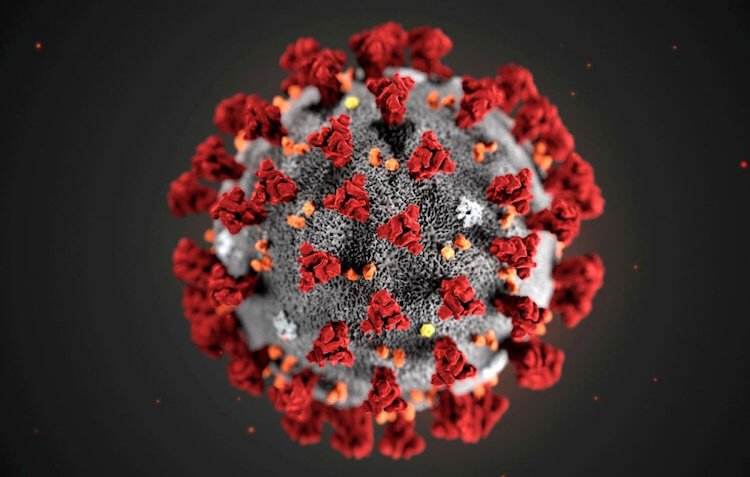 Hype or care: Samsung cases will fight coronavirus