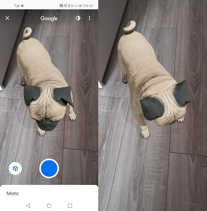 How to take photos and videos of 3D animals on Google