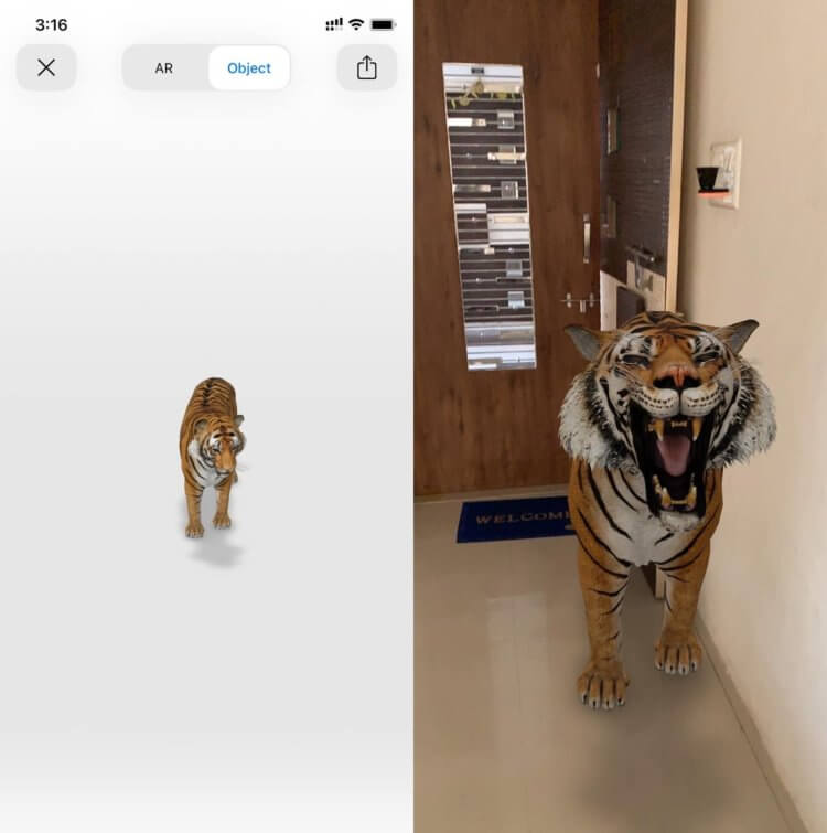 How to watch animals in 3D from Google from a smartphone