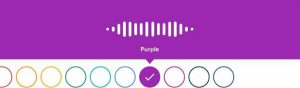Purple: guide 