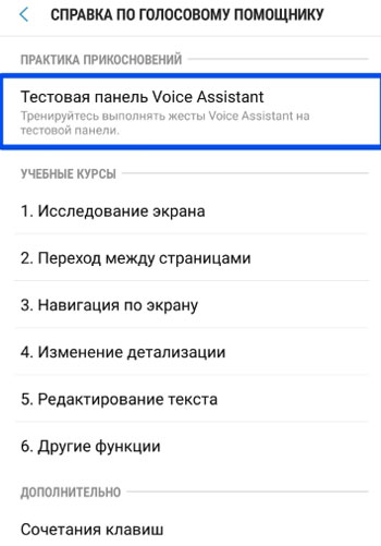 Voice Assistant Help 