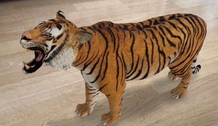 Google Tiger and Phone Payments Huawei: Week in Review